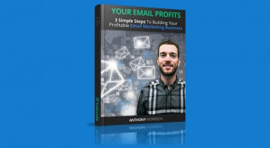 your email profits